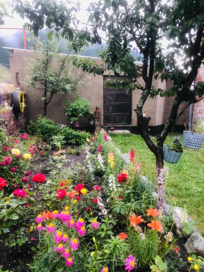 Ia'S Guest House 卡兹贝吉 外观 照片